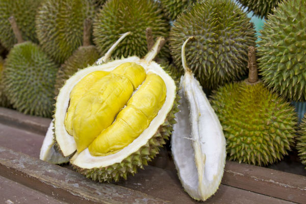 Durian-w600