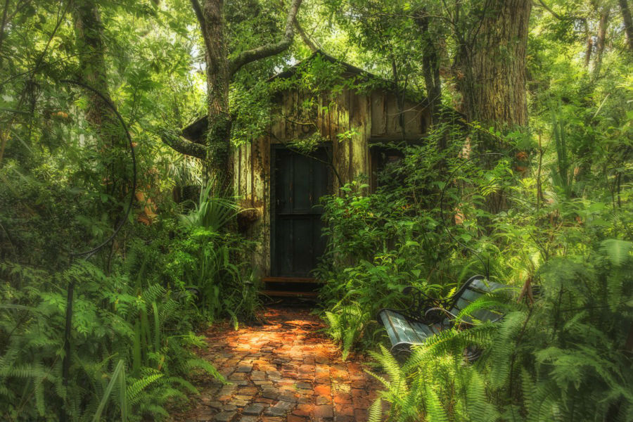 3. «خانه کوچک من» / عکاس: lostlenscap / کلبه ای کوچک و خصوصی در دل جنگل های سن آگوستین در فلوریدا