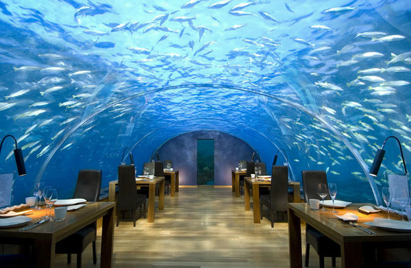 شما با مراجعه به رستوران دریایی «ایتا» در کشور مالدیو می توانید غذای خود را در زیر آکواریومی بزرگ میل کنید