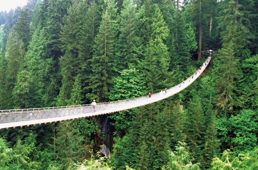High angle view of Capilano Suspension Bridge and trees, Vancouver, British Columbia, Canada
