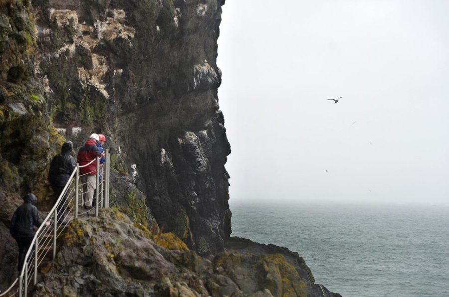 ANTRIM, NORTHERN IRELAND - AUGUST 19: Tourists make their way along The Gobbins coastal path and trail on August 19, 2015 in Antrim, Northern Ireland. The Islandmagee cliff path walk has reopened after six decades of closure and a ?7.5 million investment. Comprimising of suspension tubular bridges, caves, steps and tunnels carved through the north Antrim coastline the trail was once a thriving 1900's hotspot for walkers and thrill-seekers. Designed by Irish railway engineer Berkley Deane Wise and opened in 1902 to Edwardian era visitors the path comes with a health warning for those weak of heart or suffering from a general lack of fitness due to it's steep incline. (Photo by Charles McQuillan/Getty Images)