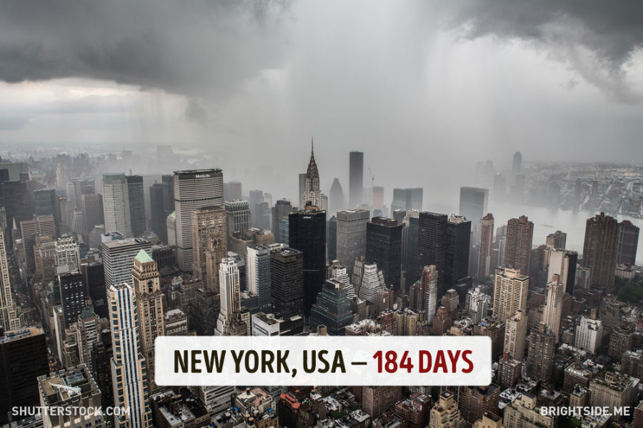 نیویورک - آمریکا - 184 روز