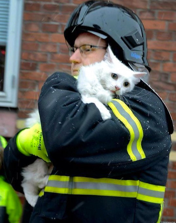 نجات گربه خانگی از آتش در دانمارک