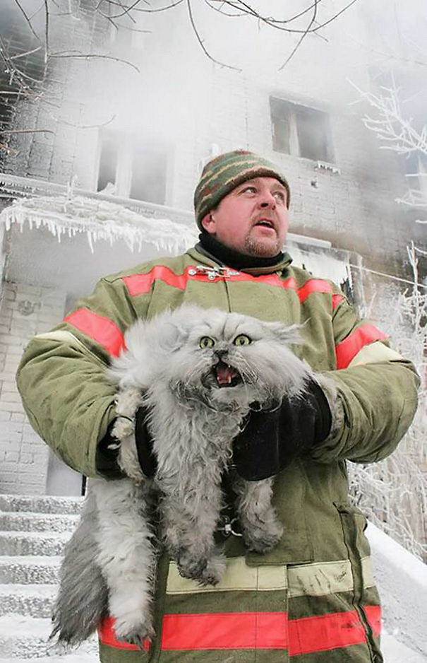 نجات گربه خانگی از آتش در روسیه