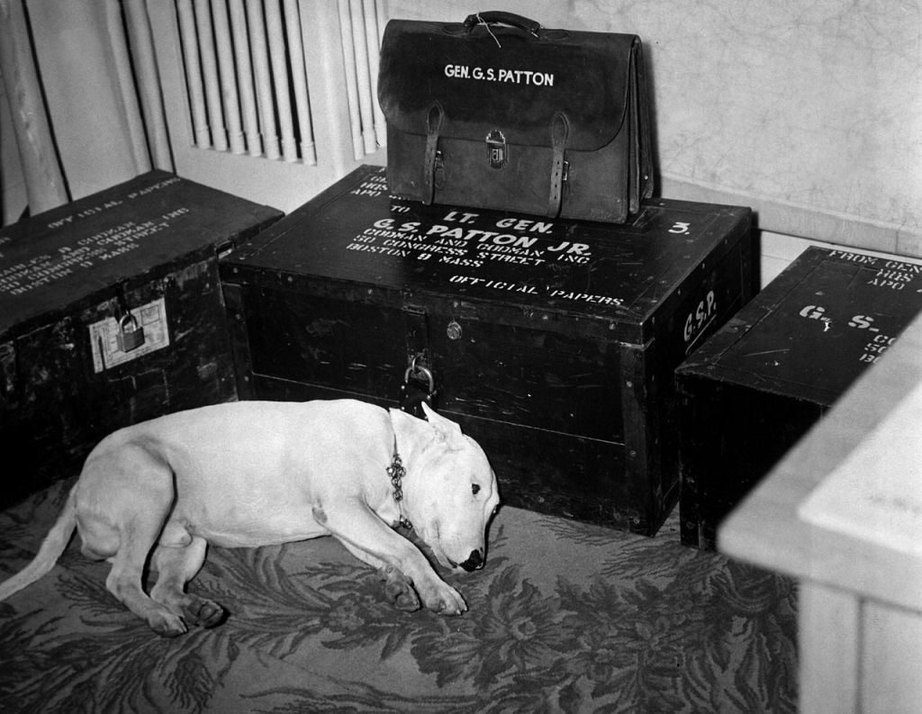 ویلی، سگ جرج اس پتن در حال سوگواری در غم از دست دادن وی، یک روز پس از مرگ او در سال 1945
