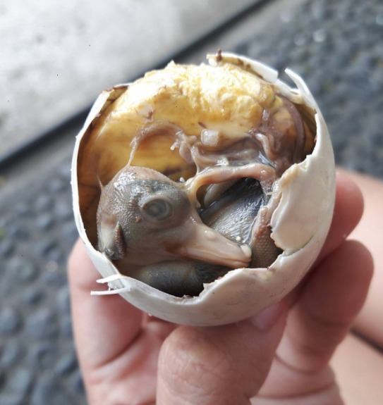 یکی از چندش آورترین غذاهای فیلیپین، جنین تخم اردک است که حاوی مایع آمنیوتیک بوده و جنین سه هفته ای اردک محسوب می شود. 
