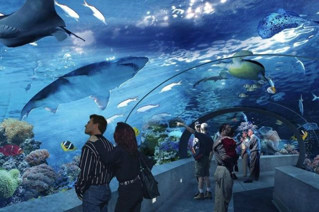 Antalya_Aquarium-w700