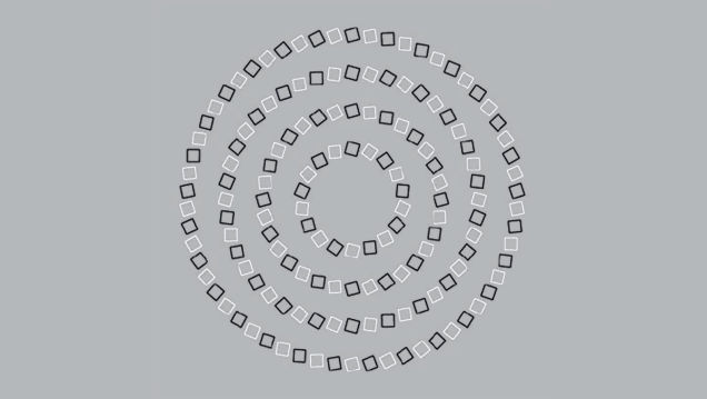 ابتدا 4 دایره کامل می بینید و فقط کافی است به مربع های کوچک نگاه کنید، تصویر مارپیچ و در هم دیده خواهد شد.