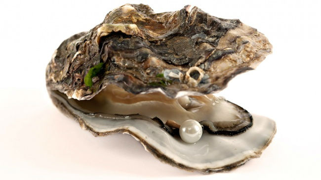 [عکس: 14213110-oysterpearl-957039-1493991057-6...7-w700.jpg]