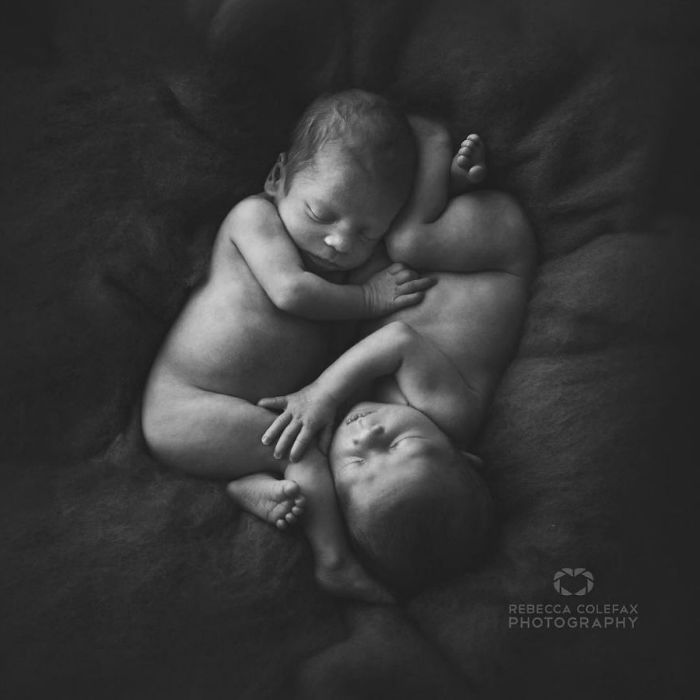 Photographer-takes-pictures-of-babies-as-never-seen-before-5922b2c56ed7a__880-w700