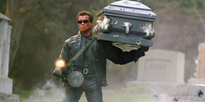 Arnold-Schwarzenegger-Terminator-3-w700