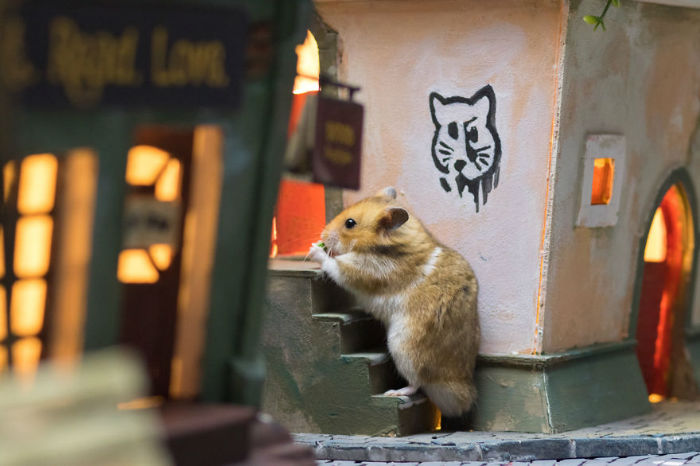 Crafted-miniature-town-for-HUNGRY-HUNGRY-HAMSTERS-online-series-5935d4fee0a68__880-w700