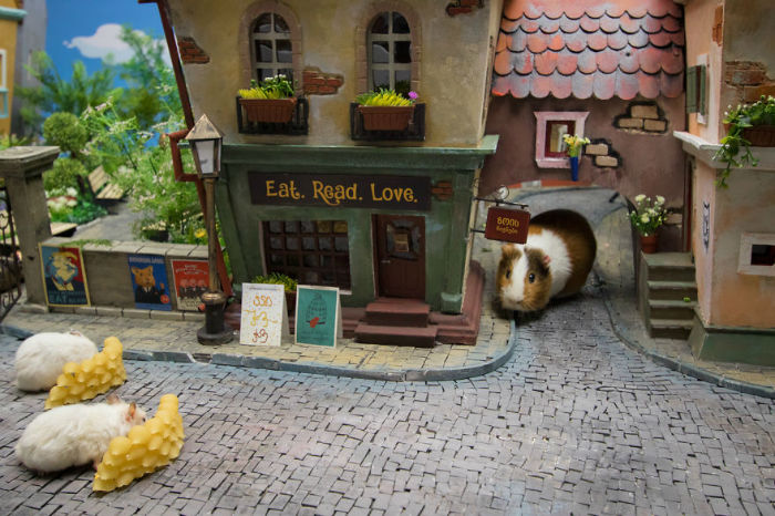 Crafted-miniature-town-for-HUNGRY-HUNGRY-HAMSTERS-online-series-5935d52dc52bc__880-w700