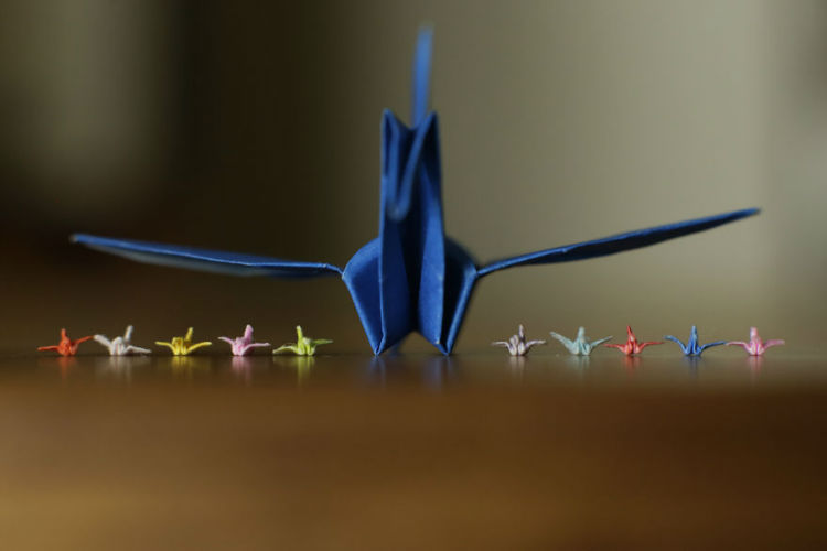 I-made-a-tiny-origami-crane-with-just-my-fingers-and-the-internet-loved-it-594c389b7ed3d__880-w750