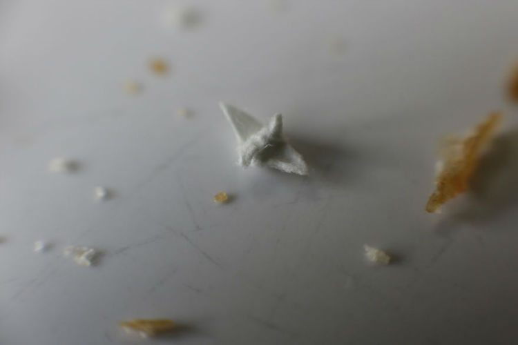 I-made-a-tiny-origami-crane-with-just-my-fingers-and-the-internet-loved-it-594c38a52b8ed__880-w750