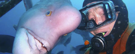 diver-fish-25-year-friendship-hiroyuki-arakawa-japan-594cc54583ae1__700