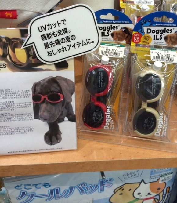 شاید این وسیله به نظرتان عجیب باشد اما باید بدانید که نور آفتاب چشمان سگ ها را نیز همانند انسان، اذیت می کند. به همین خاطر، ژاپنی ها برای سگ های خانگی این وسیله را اختراع و تولید کرده اند. 