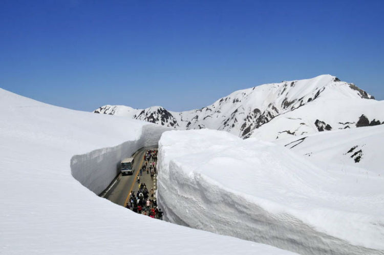 [عکس: deepest-snow-of-north-america-ski-resort...s-w750.jpg]