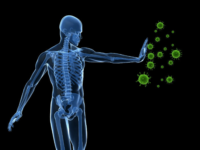 immunity-system-of-human-body-human-immune-system-youtube-w700.jpg