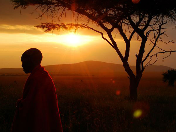 پارک ملی ماسای مارا عکاس: Jen Eudy مکان: کنیا هنگامی‌که عکس موردنظر خود را ثبت کردید، چند قدم به سوژه نزدیک‌تر شده و دوباره از آن عکاسی کنید. مطمئن باشید در این حالت، سوژه بسیار جذاب‌تر از قبل به نظر خواهد رسید. 