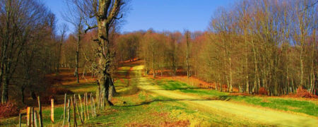 همه چیز درباره طبیعت گردی