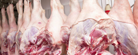 ژلاتین این گونه ساخته می شود [تماشا کنید]