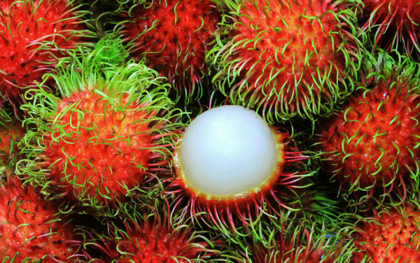۱۵ مورد از عجیب ترین میوه های قاره آسیا