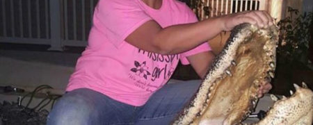 یک زن موفق شد تمساحی ۴ متری را در رودخانه میسیسیپی شکار کند