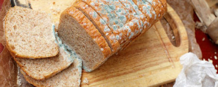اگر نان کپک زده بخوریم، چه اتفاقی می افتد؟