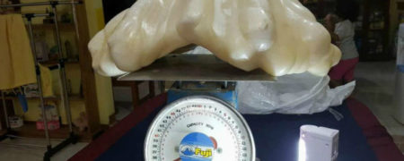 ماهیگیر خرافاتی این مروارید ۱۰۰ میلیون دلاری را زیر تختش نگه می دارد