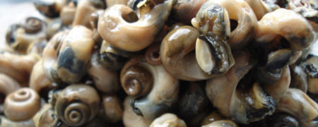 ۲۴ غذای محلی انگلستان که چندش آور هستند