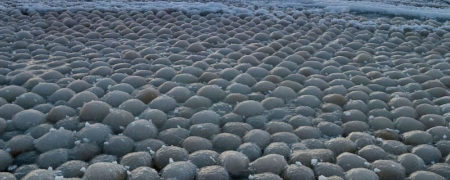 چشم انداز زیبای گلوله های یخی در ساحل دریاچه میشیگان