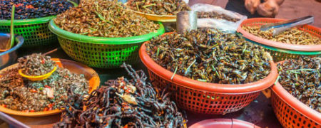 خوراک رتیل؛ غذایی محبوب در شهر «سوکان» کشور کامبوج