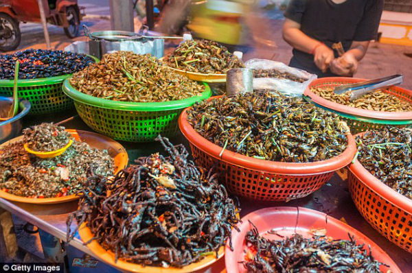 خوراک رتیل؛ غذایی محبوب در شهر «سوکان» کشور کامبوج