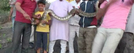 حمله مار پیتون به مردی که می خواست سلفی بگیرد [تماشا کنید]