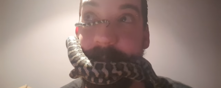 رابطه دوستانه مار و انسان؛ فردی که یک پیتون را به عنوان حیوان خانگی برگزیده است [تماشا کنید]