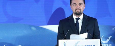 جزئیات همکاری گوگل با گرگ وال استریت