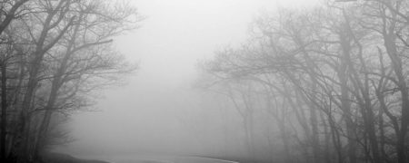 با محدود کردن اطلاعات دریافتی از ابتلا به «مه روانی» بپرهیزید