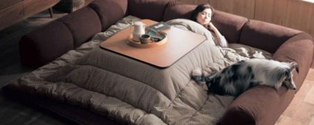 مبلمان جدید ژاپنی ها به سبک کُرسی ایرانی