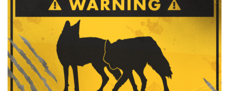 راهنمای بقا: چگونه از حمله سگ جان سالم به در ببریم