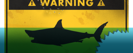 راهنمای بقا: چگونه از حمله کوسه جان سالم به در ببریم؟