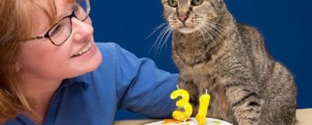 پیرترین گربه جهان ۳۱ ساله شد