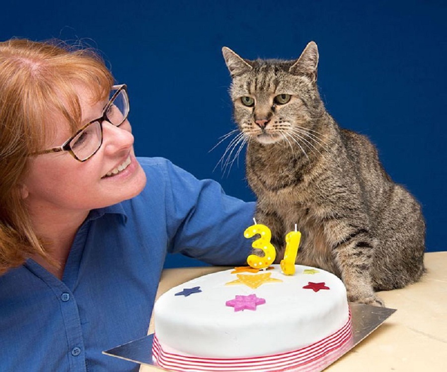 پیرترین گربه جهان ۳۱ ساله شد