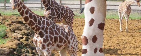 پدری که نقاشی های پسر ۶ ساله خود را به واقعیت تبدیل می کند