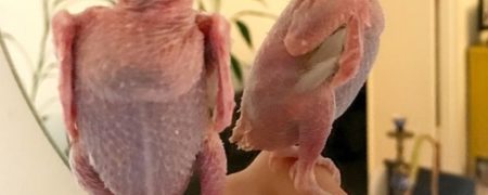 رئا؛ پرنده بی پر که ستاره اینستاگرام شده [تماشا کنید]