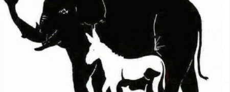 چالش: چه تعداد حیوان در این عکس می بینید؟