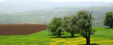 گشتی در زیباترین ییلاق گیلان؛ دیلمان