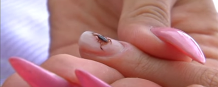 طراحی جدید و البته عجیب ناخن با کژدم های مرده [تماشا کنید]