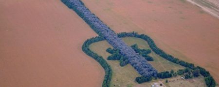 هشت نماد یادبود شگفت آور که با کاشت درخت خلق شده اند