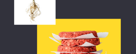 نگاهی به رویای بعدی بیل گیتس؛ برگرهای گیاهی با ظاهر و طعمی مشابه برگرهای واقعی